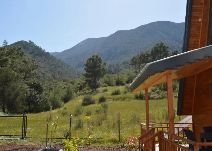 شقة فندقية Lalin *